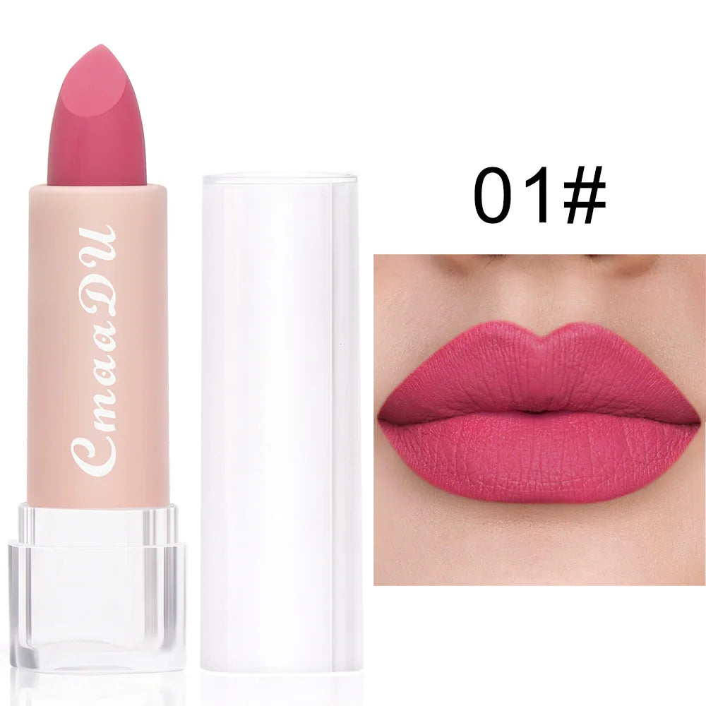 15 Colors Matte Lipstick 24 Hours Water Resistant Lipsticks Lip tint korean Makeup For Women Beauty Lip Stain Cheap Small Makeup