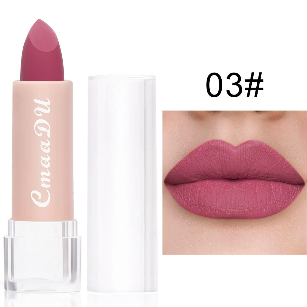 15 Colors Matte Lipstick 24 Hours Water Resistant Lipsticks Lip tint korean Makeup For Women Beauty Lip Stain Cheap Small Makeup