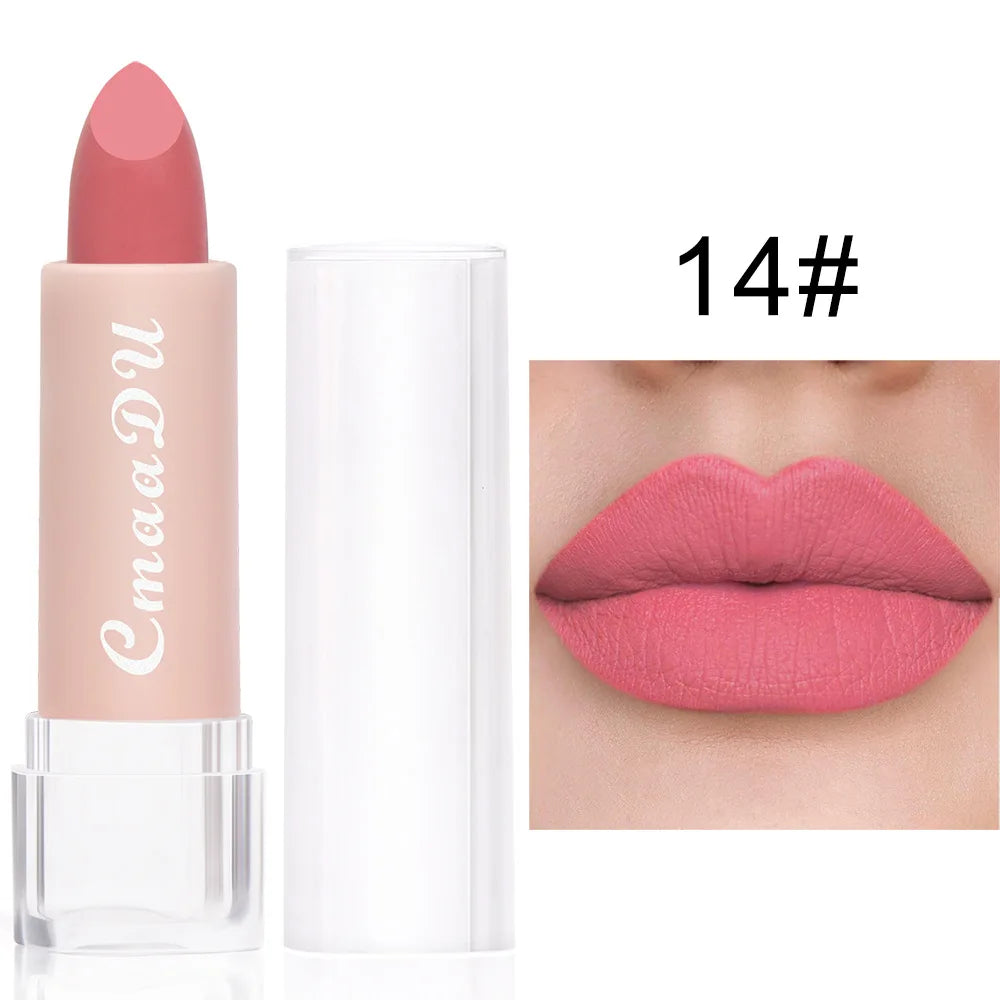 15 Colors Matte Lipstick 24 Hours Water Resistant Lipsticks Lip tint korean Makeup For Women Beauty Lip Stain Cheap Small Makeup