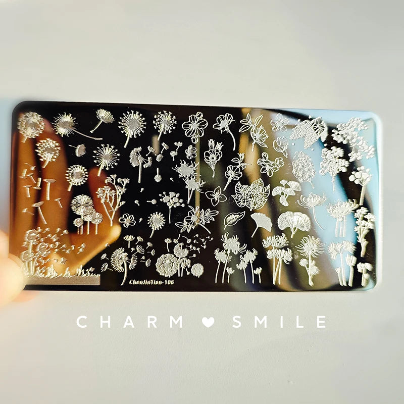 Cartoon Characters Stamping Plates  French Line Geometry  Flowers Leaves Animals Image Stainless Steel Nail Art Template Stencil