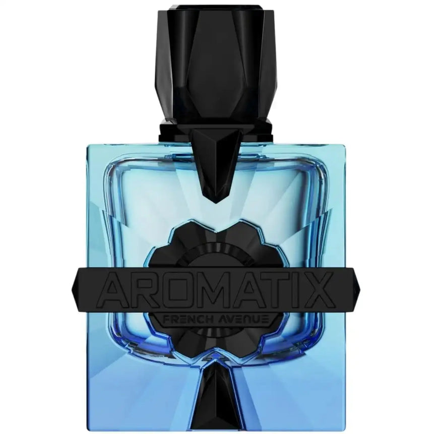 French Ave.nue Magnetiq EDP, Woody Aromatic Fragrance, 3.4 Fl Oz, Long Lasting Scent for Unisex, Perfect Gift